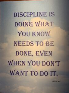 discipline quote from unknown