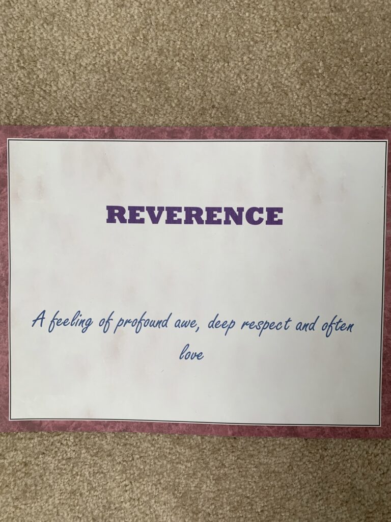  reverence - a feeling of profound awe, deep respect and often love